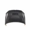 Hood Mk6 - Wet Carbon Fiber - Image 2